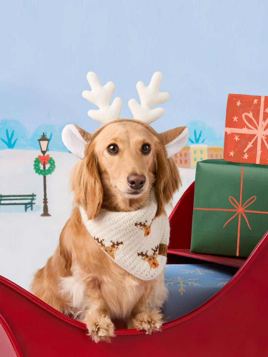 The-Foggy-Dog-bandana-tricot-pour-chien-tricot-renne-noel