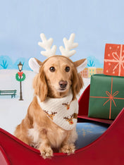 The-Foggy-Dog-bandana-tricot-pour-chien-tricot-renne-noel
