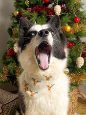 The-Foggy-Dog-bandana-tricot-pour-chien-tricot-renne-noel