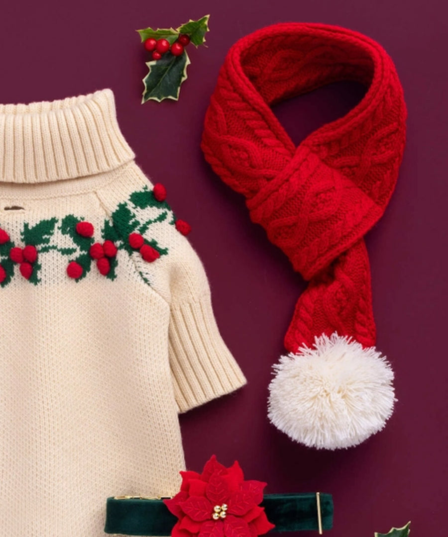 The-Foggy-Dog-echarpe-tricot-pour-chien-tricot-noel