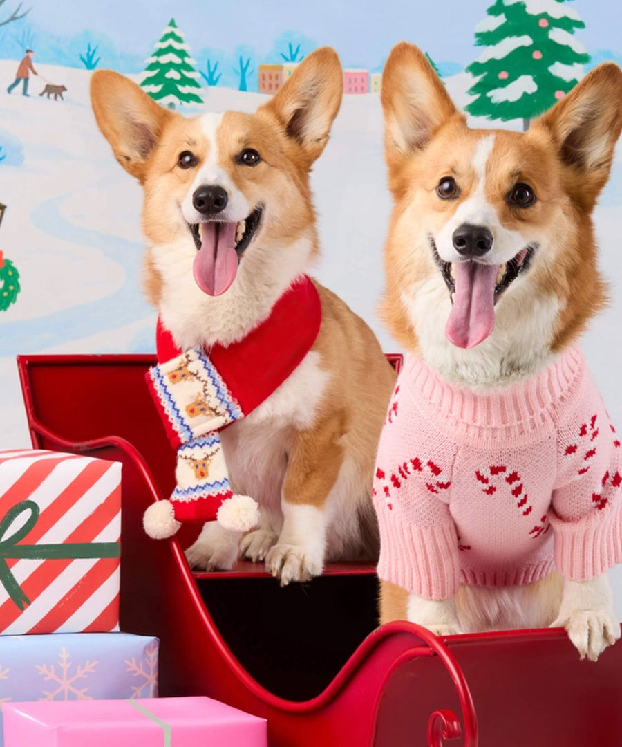 The-Foggy-Dog-echarpe-tricot-pour-chien-tricot-rennes-noel