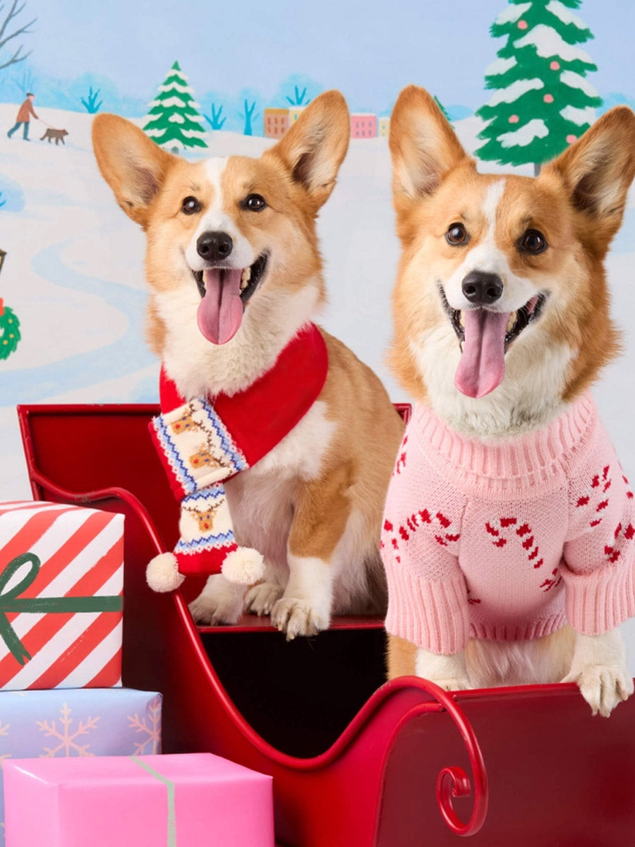 The-Foggy-Dog-echarpe-tricot-pour-chien-tricot-rennes-noel