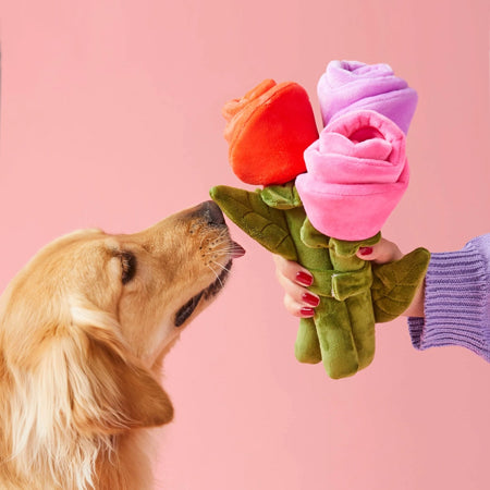 The-Foggy-Dog-jouet-fouille-enrichissement-pour-chien-bouquet-fleur-xl