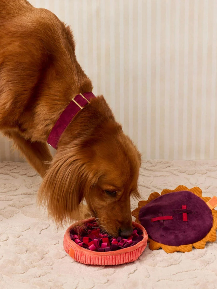 The-Foggy-Dog-peluche-fouille-balle-pour-chien-Berry-Pie