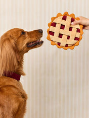The-Foggy-Dog-peluche-fouille-balle-pour-chien-Berry-Pie