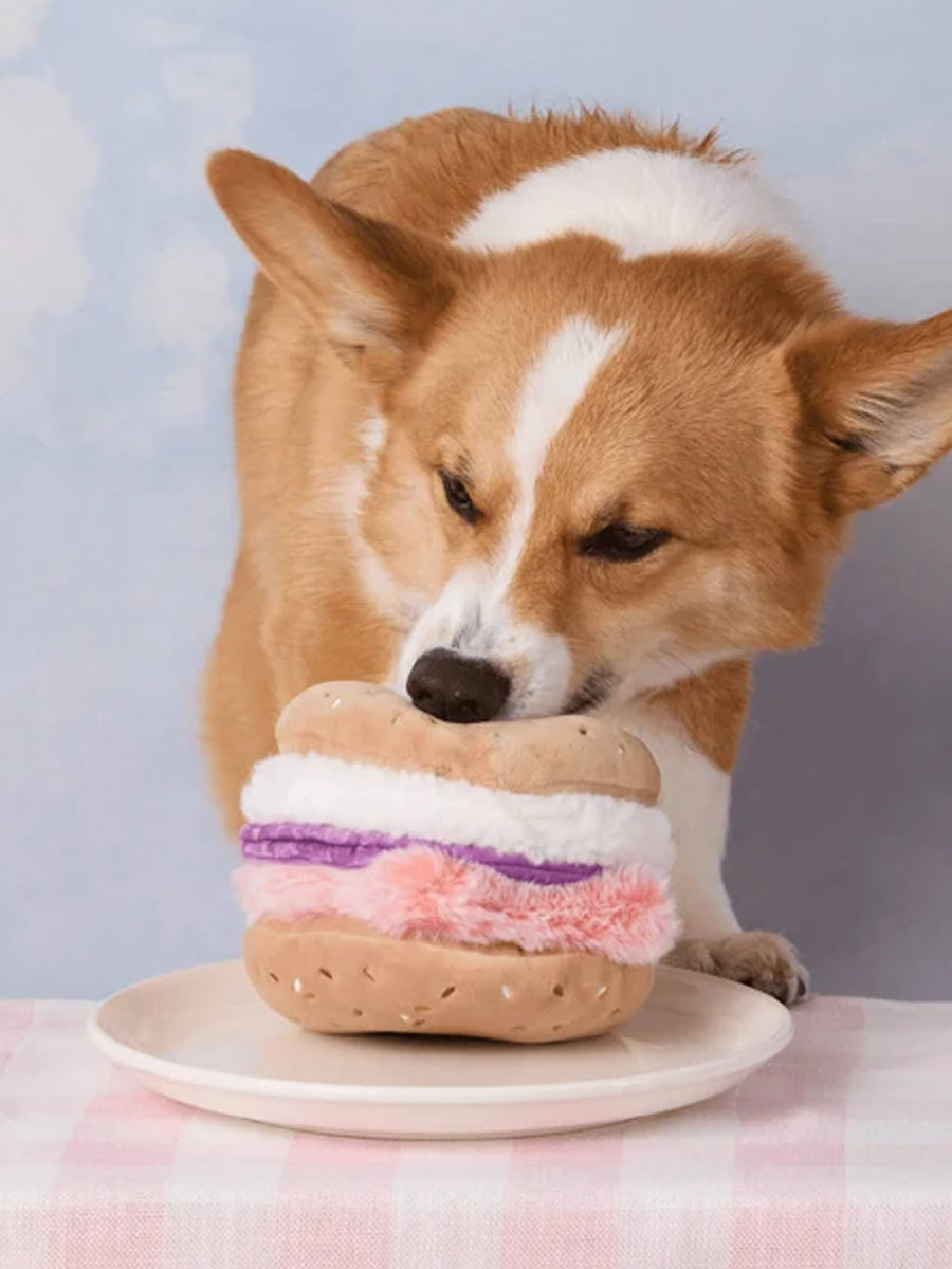 The-Foggy-Dog-peluche-fouille-balle-pour-chien-bagel