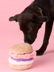 The-Foggy-Dog-peluche-fouille-balle-pour-chien-bagel
