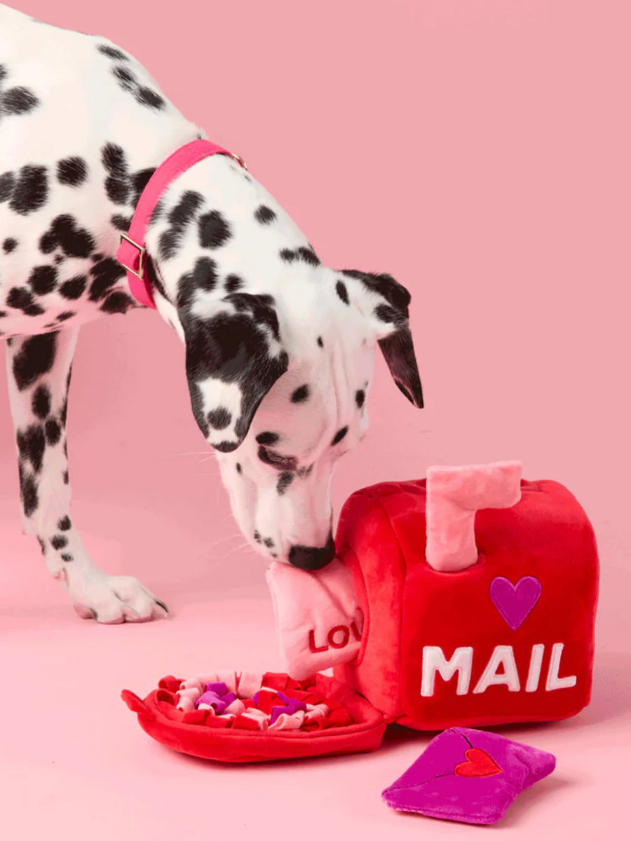 The-Foggy-Dog-peluche-fouille-balle-pour-chien-love-letter