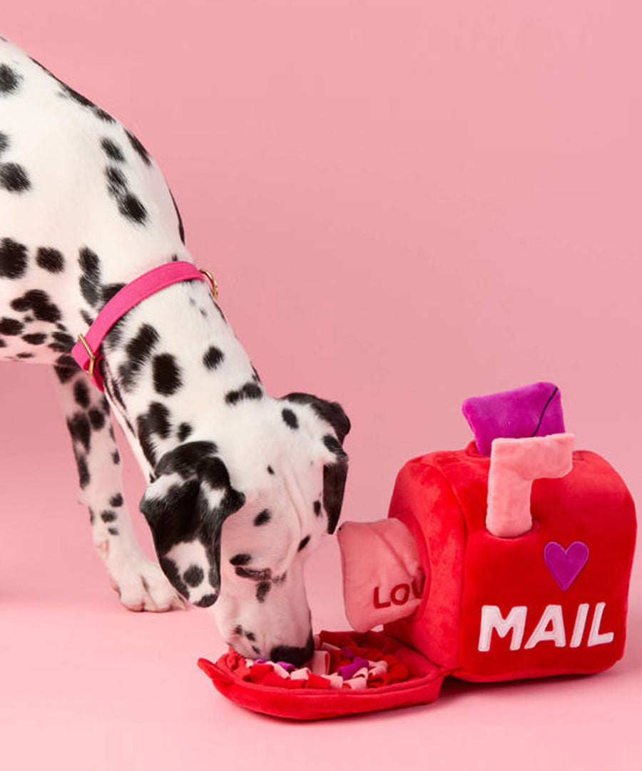 The-Foggy-Dog-peluche-fouille-balle-pour-chien-love-letter