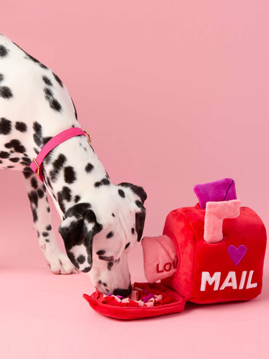 The-Foggy-Dog-peluche-fouille-balle-pour-chien-love-letter