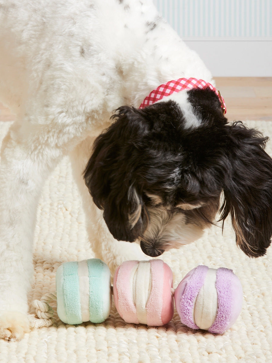 The-Foggy-Dog-peluche-fouille-balle-pour-chien-macarons