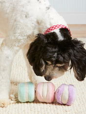 The-Foggy-Dog-peluche-fouille-balle-pour-chien-macarons