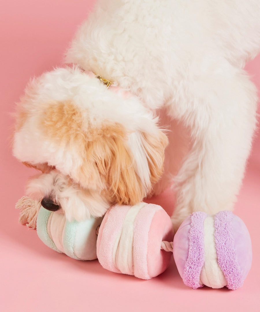 The-Foggy-Dog-peluche-fouille-balle-pour-chien-macarons