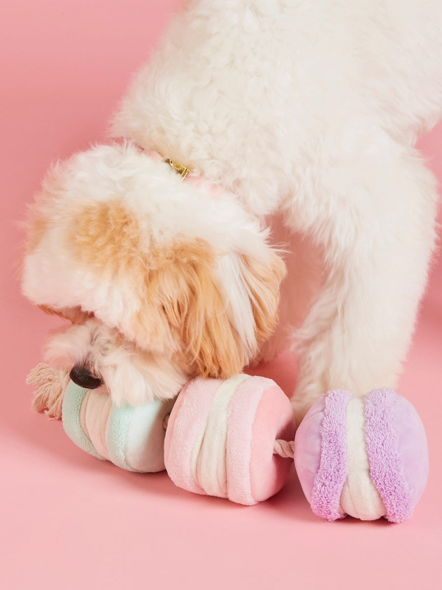 The-Foggy-Dog-peluche-fouille-balle-pour-chien-macarons