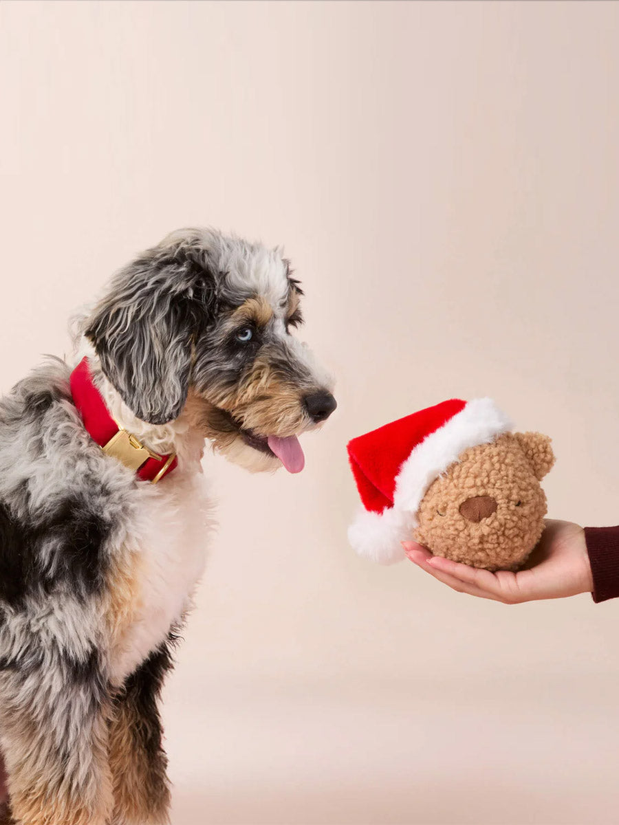 The-Foggy-Dog-peluche-fouille-balle-pour-chien-ourson-noel