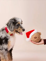 The-Foggy-Dog-peluche-fouille-balle-pour-chien-ourson-noel