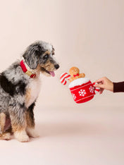 The-Foggy-Dog-peluche-fouille-chocolat-chaud