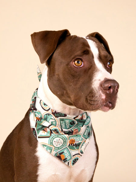 The-Paws-bandana-pour-chien-Adventure