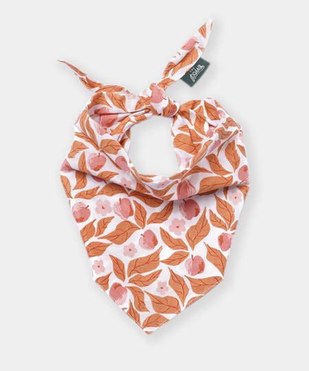 The-Paws-bandana-pour-chien-Apple-crisp