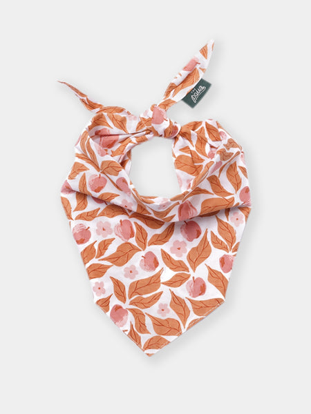 The-Paws-bandana-pour-chien-Apple-crisp