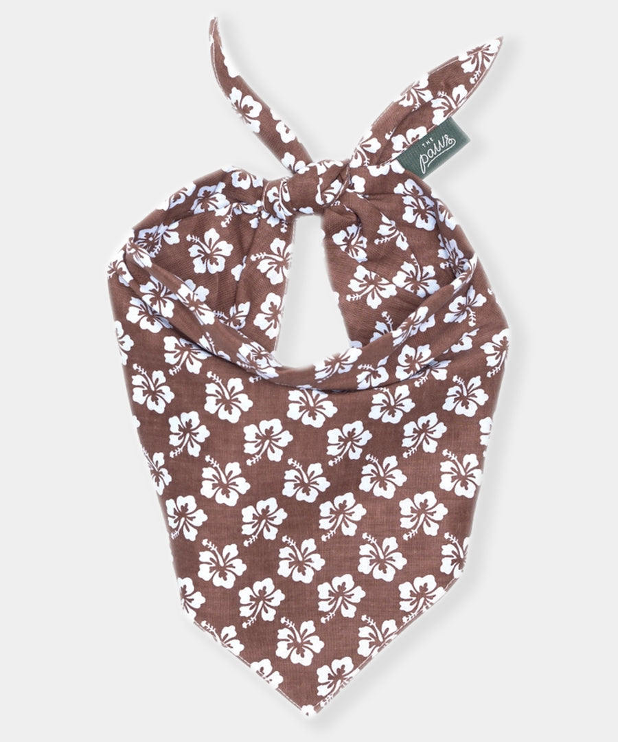 The-Paws-bandana-pour-chien-Bali-Hibiscus