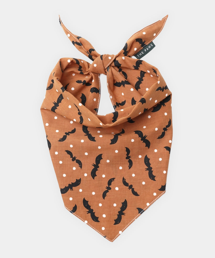 The-Paws-bandana-pour-chien-Batty-Halloween