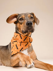 The-Paws-bandana-pour-chien-Batty-Halloween