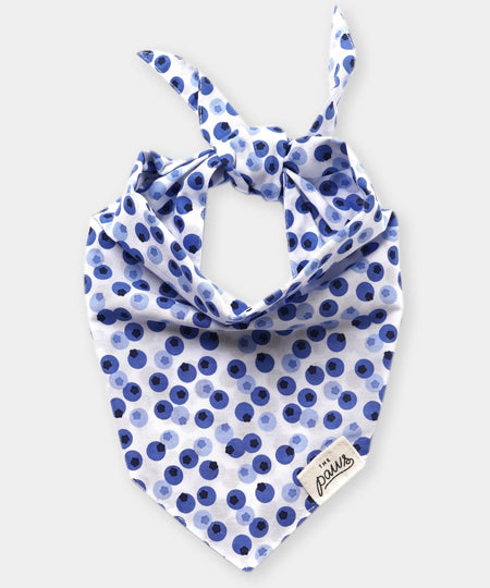 The-Paws-bandana-pour-chien-Berry