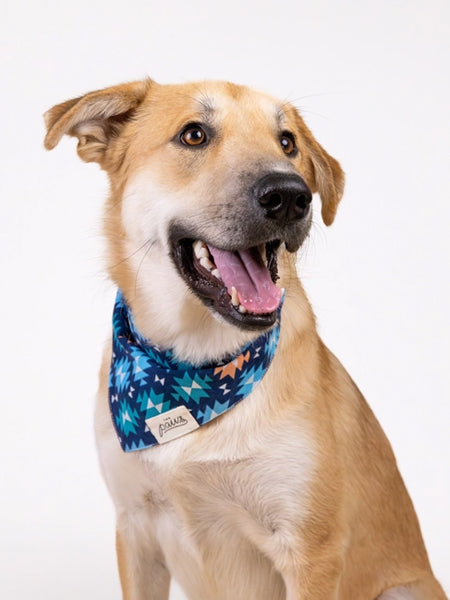     The-Paws-bandana-pour-chien-Blue-Ridge