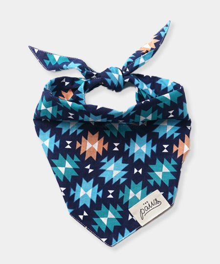     The-Paws-bandana-pour-chien-Blue-Ridge