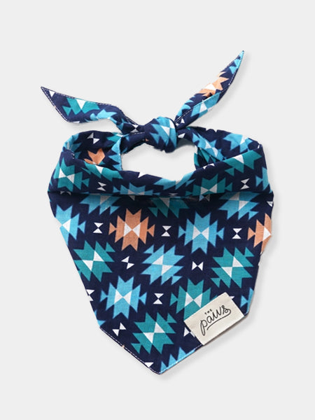     The-Paws-bandana-pour-chien-Blue-Ridge