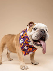 The-Paws-bandana-pour-chien-Boo-Crew-Halloween