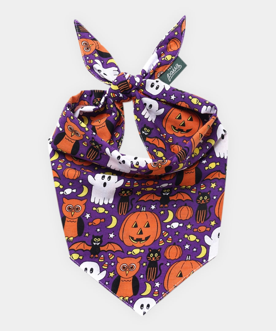 The-Paws-bandana-pour-chien-Boo-Crew-Halloween