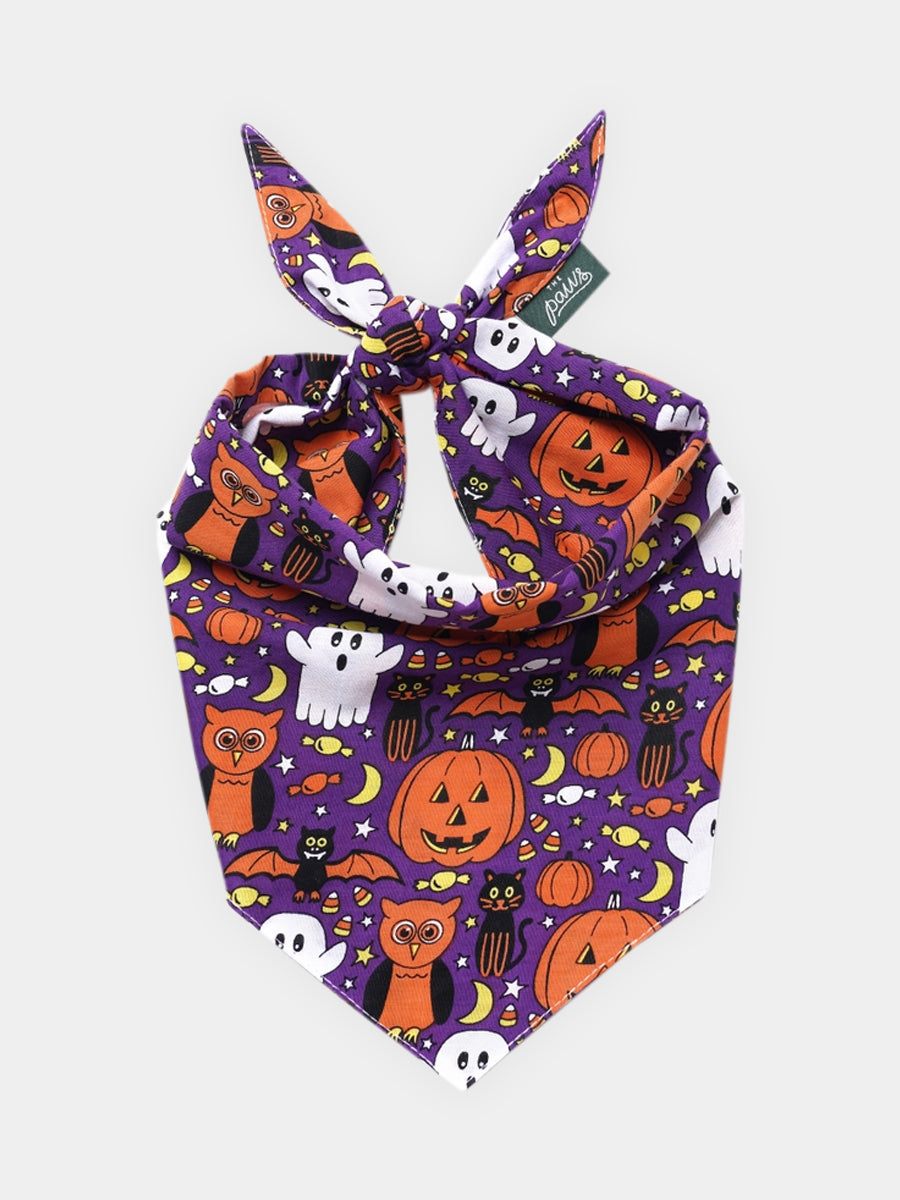 The-Paws-bandana-pour-chien-Boo-Crew-Halloween