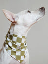      The-Paws-bandana-pour-chien-Checkmate-vert