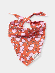 The-Paws-bandana-pour-chien-Cherrie