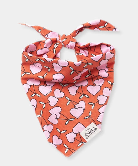 The-Paws-bandana-pour-chien-Cherrie