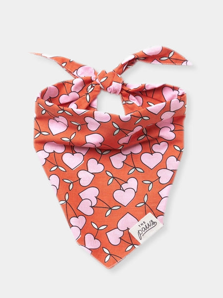 The-Paws-bandana-pour-chien-Cherrie