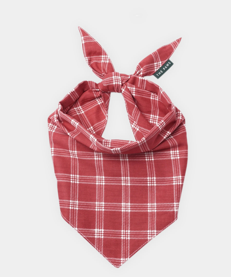 The-Paws-bandana-pour-chien-Cider-plaid