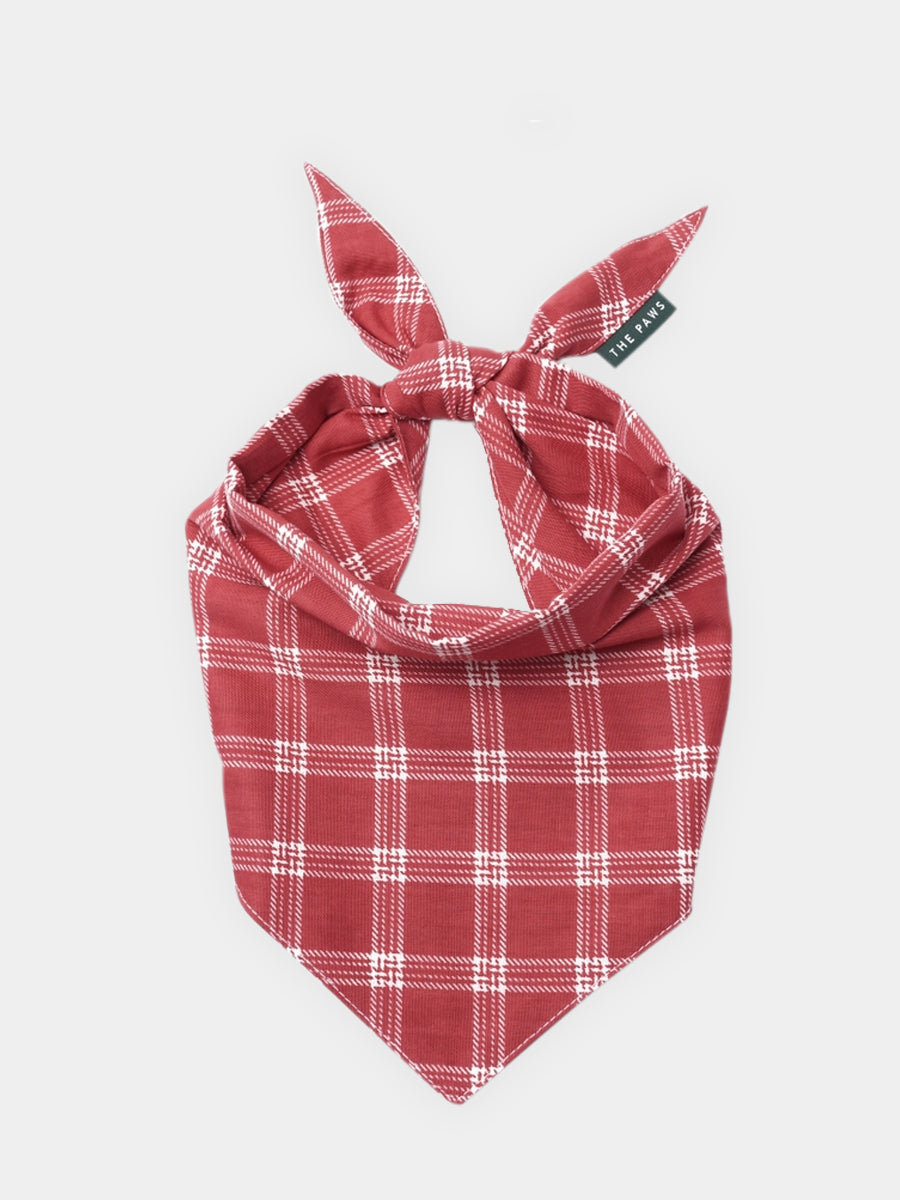 The-Paws-bandana-pour-chien-Cider-plaid