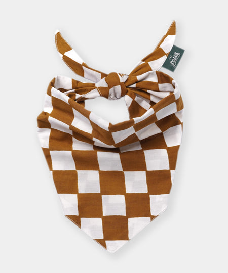 The-Paws-bandana-pour-chien-Cocoa