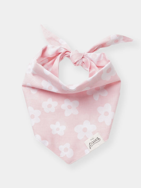 The-Paws-bandana-pour-chien-Daisie