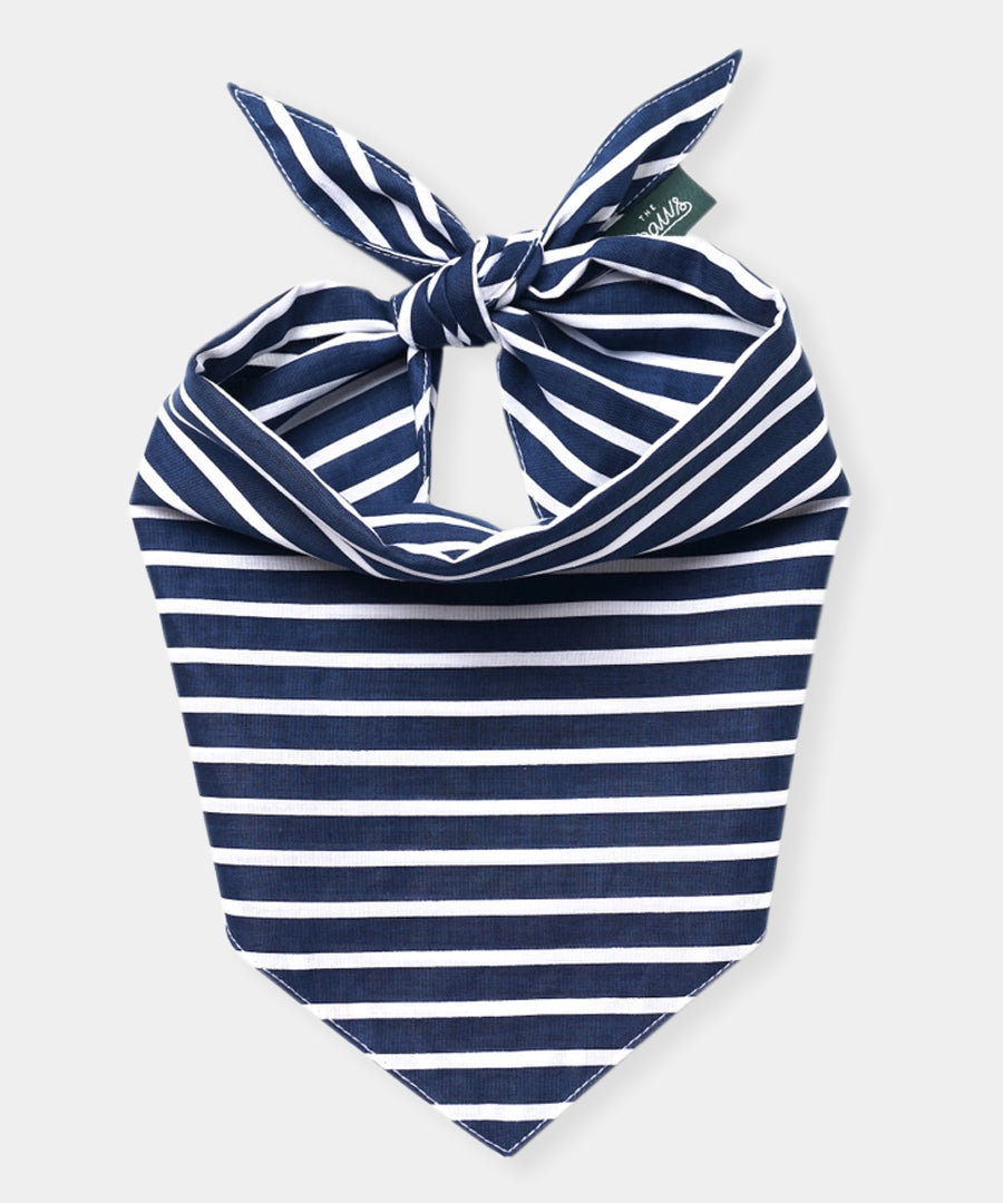 The-Paws-bandana-pour-chien-Everyday-Stripe