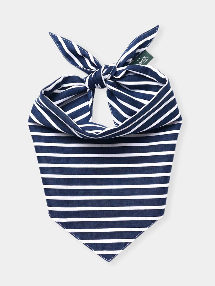 The-Paws-bandana-pour-chien-Everyday-Stripe