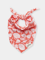 The-Paws-bandana-pour-chien-Flores-Shell