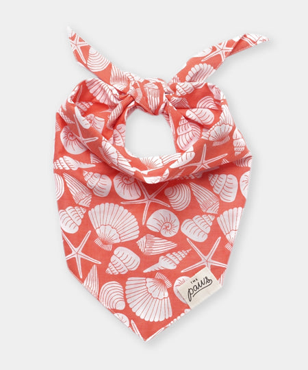 The-Paws-bandana-pour-chien-Flores-Shell
