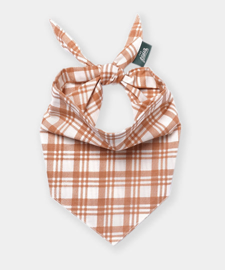 The-Paws-bandana-pour-chien-Ginger