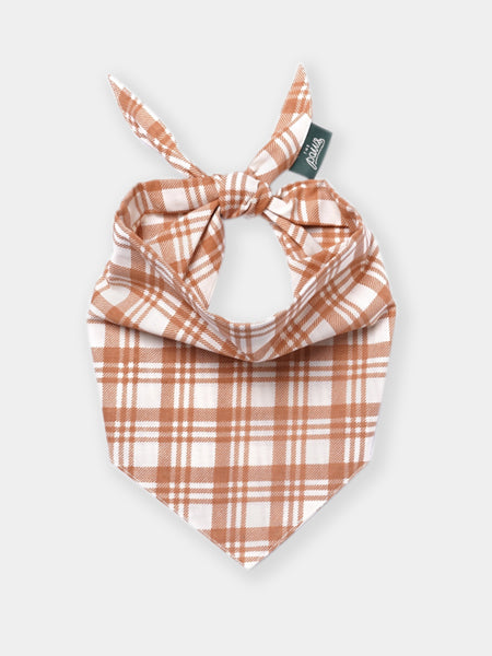 The-Paws-bandana-pour-chien-Ginger