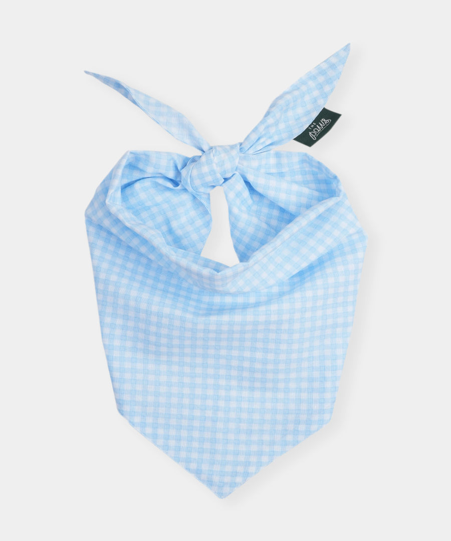 The-Paws-bandana-pour-chien-Gingham-bleu