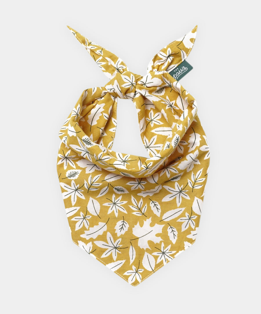 The-Paws-bandana-pour-chien-Golden-Fall-Leaves